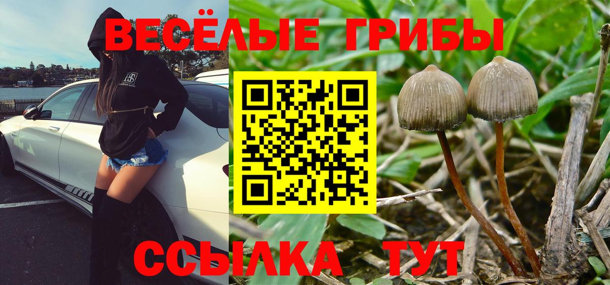 Белореченск  Галлюциногенные грибы GOLDEN TEACHER  Вход с VPN  Галлюциногенные грибы Magic Shrooms 