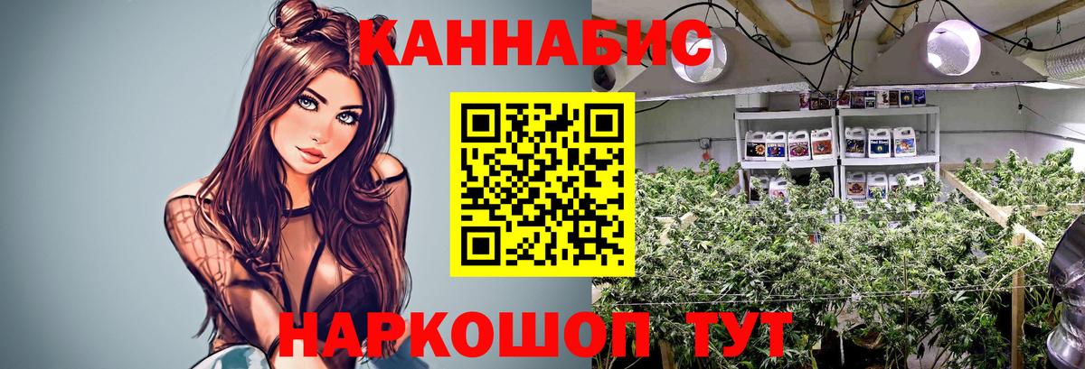 Конопля Ganja  Бошки марихуана White Widow  Белореченск  Бошки марихуана White Widow  Вход с VPN 